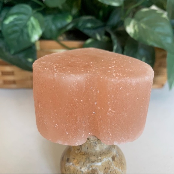 Pink Himalayan Salt Carved Heart Crystal Carving Cleansing Purification LRG 3.2" - Picture 4 of 10